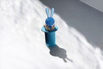 Θήκη για οδοντογλυφίδες Magic Bunny