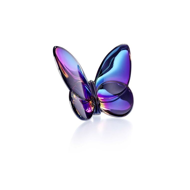 Butterfly iridescent scarabée