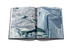 The Arctic Melt: Images of a Disappearing Landscape