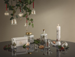 Ποτήρια σναπς 3cl Holmegaard Christmas, 2 τμχ.