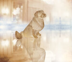 Φιγούρα Golden Retriever