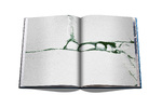 The Arctic Melt: Images of a Disappearing Landscape