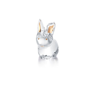 Rabbit minimals