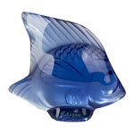 Figure of Bleu saphir fish