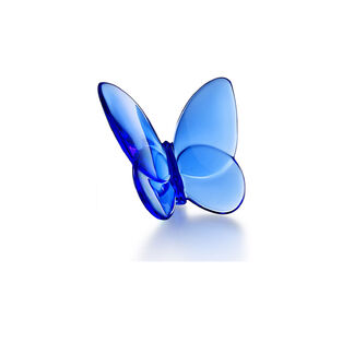 Butterfly Lucky blue