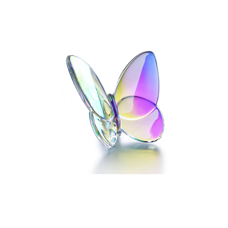 Butterfly iridescent transparent